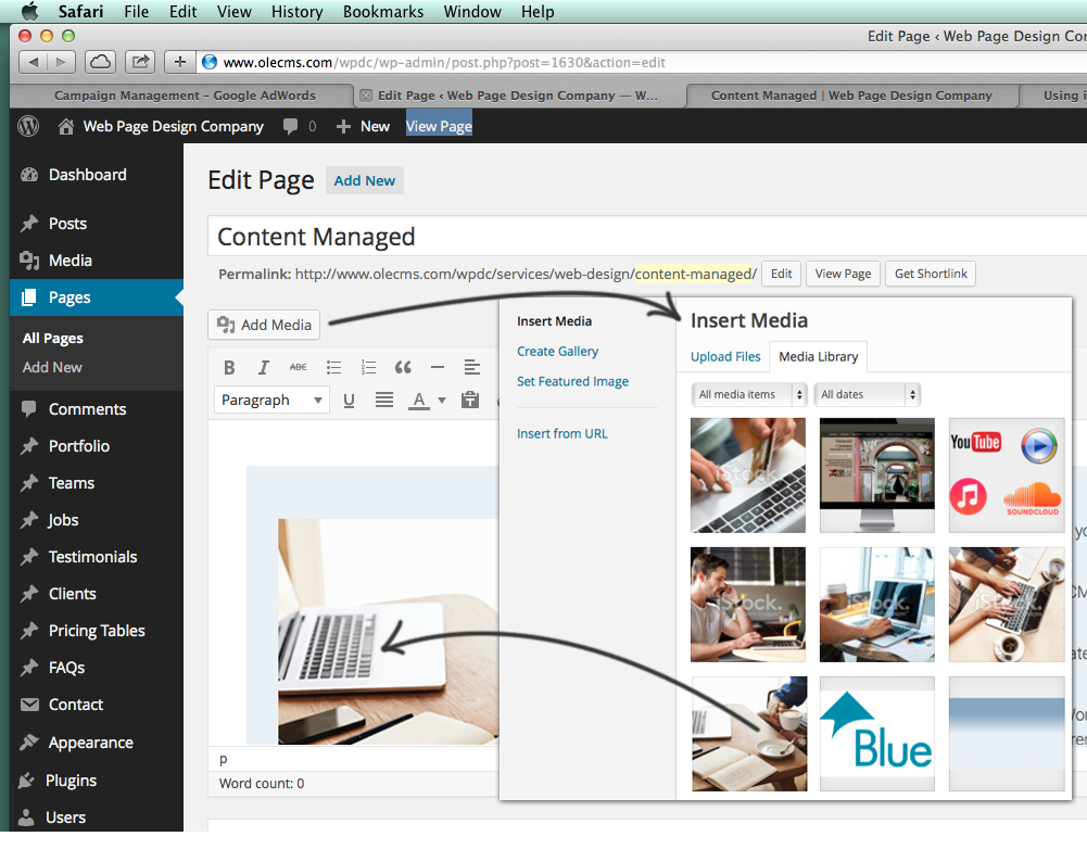 wordpress content management system